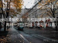 age动漫像校准：先校前提是不是默认，再统一对比口径（把句子拉直）
