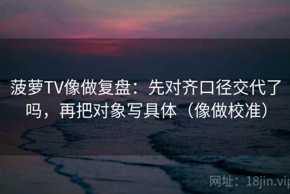 菠萝TV像做复盘：先对齐口径交代了吗，再把对象写具体（像做校准）